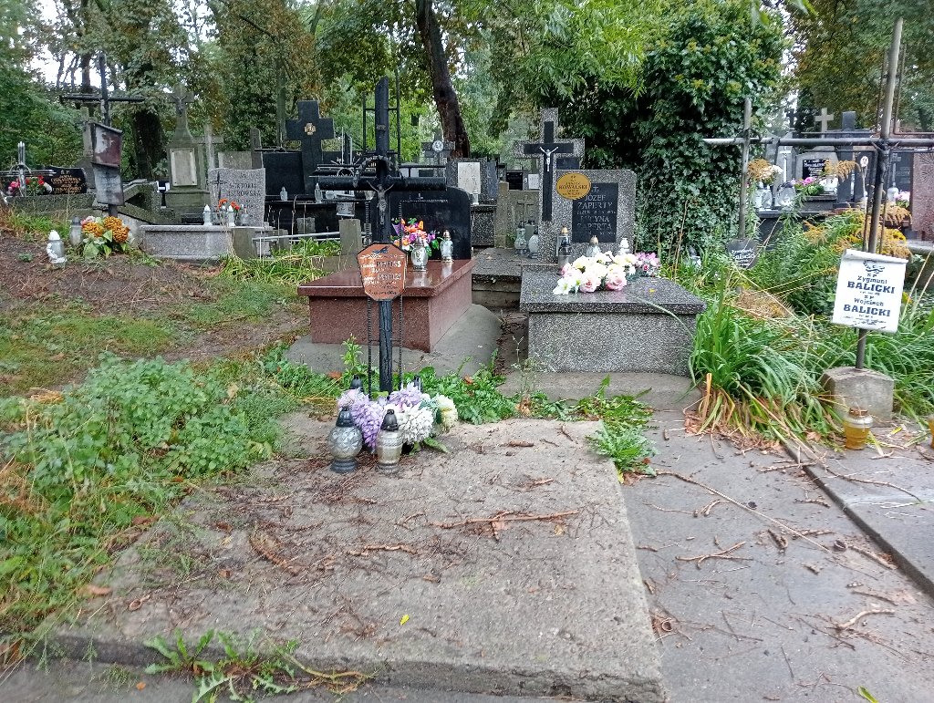Grób Teodor Preiss