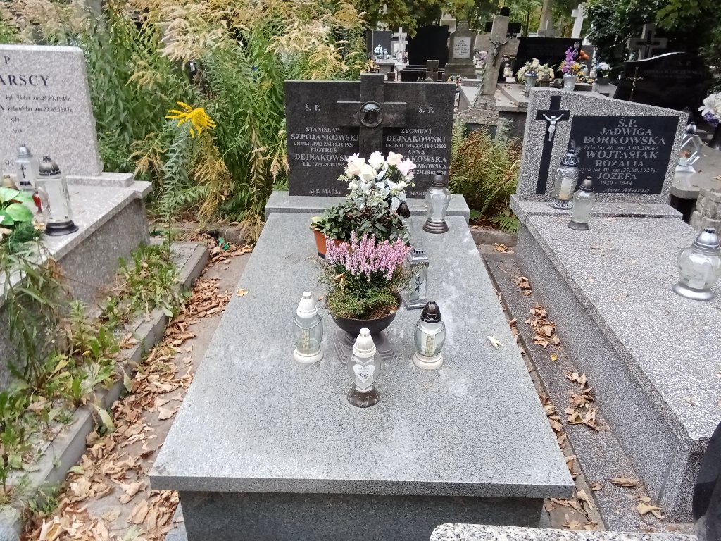 Grób Zygmunt Dejnakowski