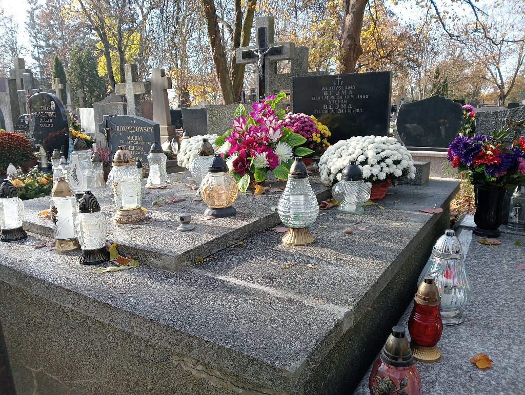 Grób Władysława Bejma